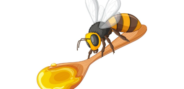 Bee with honey on spoon