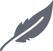 Author Icon