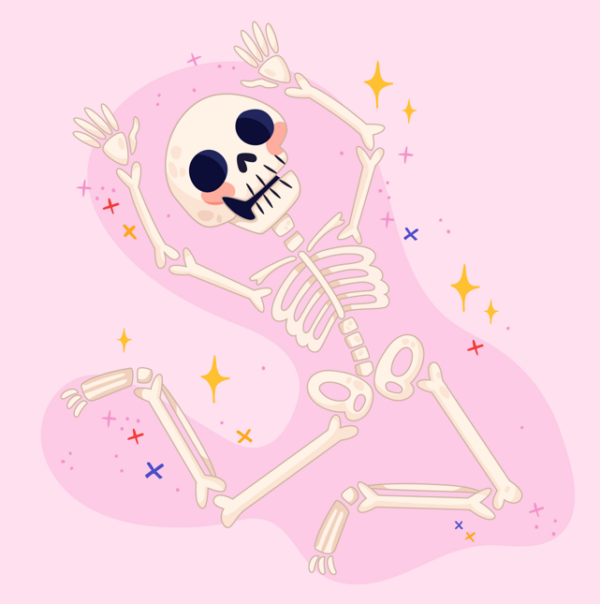 Skeleton